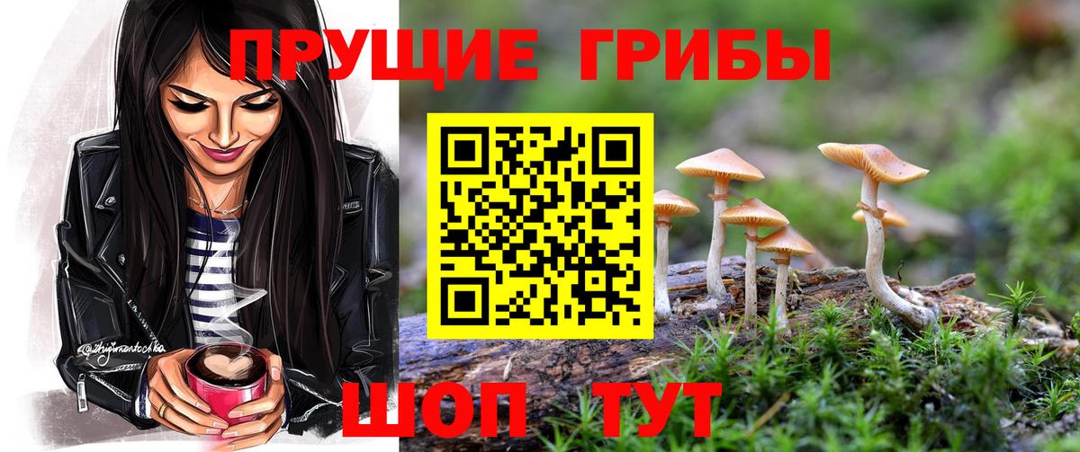Галлюциногенные грибы Psilocybine cubensis  Псилоцибиновые грибы ЛСД  Абакан  Вход с VPN 
