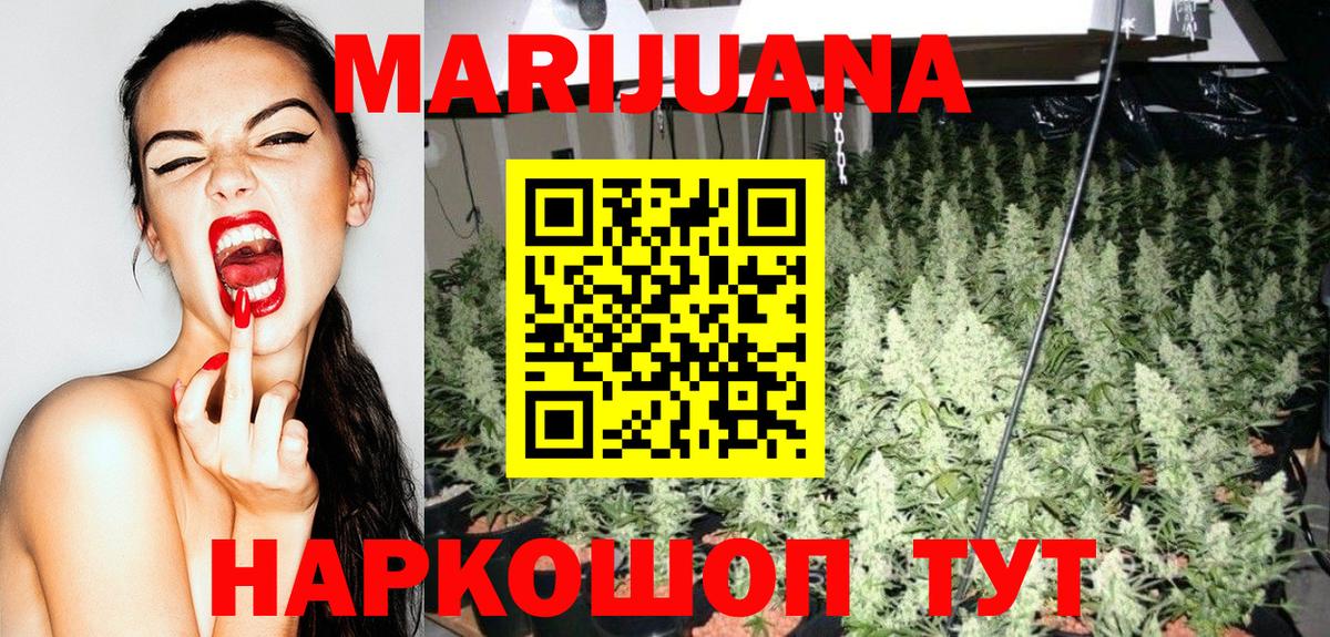 Бошки марихуана сатива Абакан