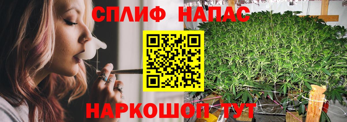 Шишки марихуана план  МАРИХУАНА планчик  Конопля конопля  Бошки марихуана ГИДРОПОН  Абакан  Вход с VPN 