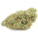 Шишки OG Kush  (Гидропоника, бошки) VHQ в Абакане